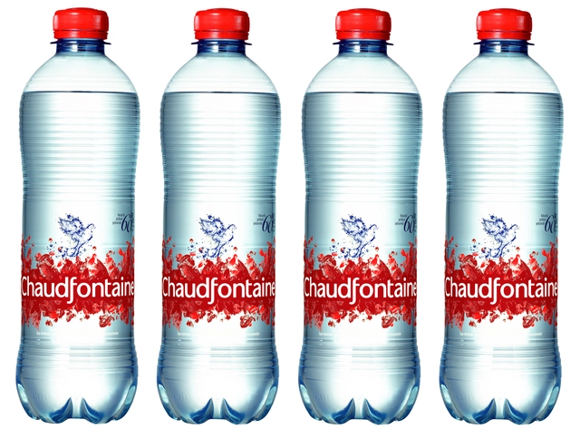 Een Water Chaudfontaine rood petfles 500ml koop je bij Sysdicom BV