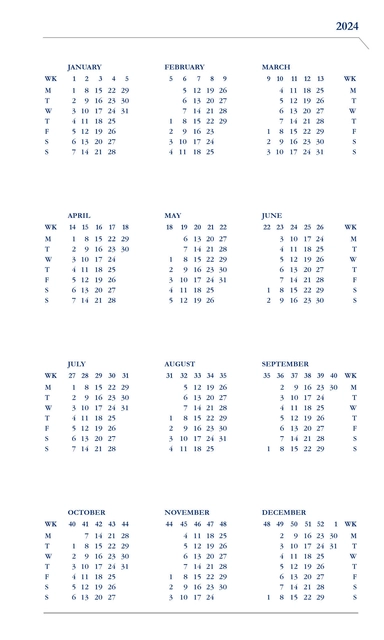 Een Agenda 2025 Ryam Memoplan 7 Nappa 7dagen/2pagina's assorti koop je bij Hoekmankantoorartikelen.nl