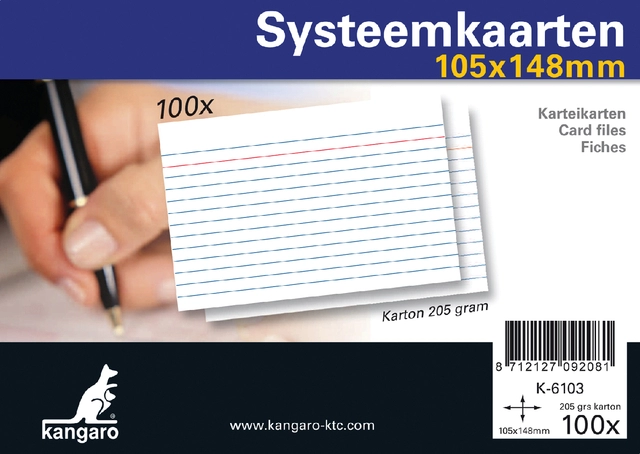 Een Systeemkaarten A6 105x148mm 100 stuks koop je bij VHK Kantoorartikelen