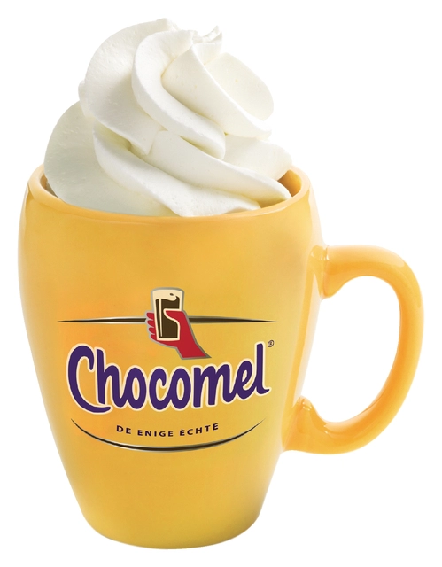 Een Chocolademelk Chocomel blik 250ml koop je bij VHK Kantoorartikelen