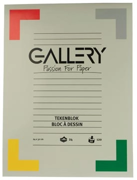 Een Gallery tekenpapier, 120 g, ft 24 x 32 cm, houtvrij papier, blok van 24 vel koop je bij best4office