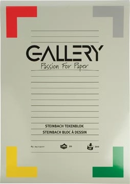 Een Gallery Steinbach tekenpapier, 200 g, ft 29,7 x 42 cm, A3, gekorreld, blok van 20 vel koop je bij Muys Kantoor & Kado