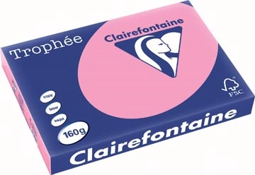 Een Clairefontaine Trophée Pastel, gekleurd papier, A3, 160 g, 250 vel, felroze koop je bij best4office