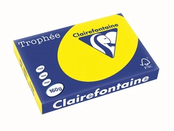 Een Clairefontaine Trophée Intens, gekleurd papier, A3, 160 g, 250 vel, zonnegeel koop je bij Muys Kantoor & Kado