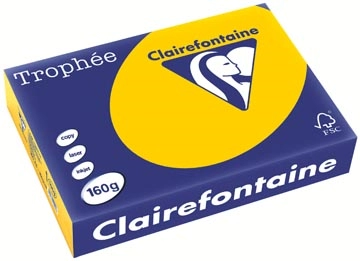 Een Clairefontaine Trophée Intens, gekleurd papier, A4, 160 g, 250 vel, zonnebloemgeel koop je bij best4office