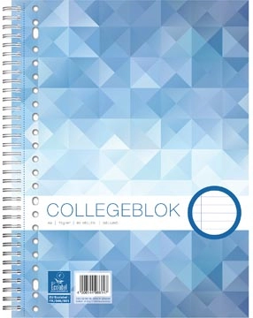 Een Work collegeblok, ft A4, gelijnd, 80 vel koop je bij Muys Kantoor & Kado