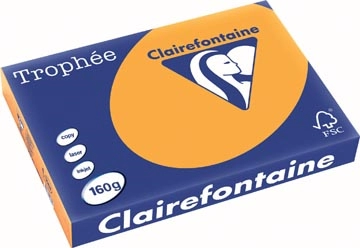 Een Clairefontaine Trophée Pastel, gekleurd papier, A3, 160 g, 250 vel, oranje koop je bij best4office