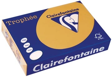 Een Clairefontaine Trophée Pastel, gekleurd papier, A4, 160 g, 250 vel, mokkabruin koop je bij best4office