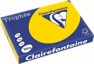 Een Clairefontaine Trophée Pastel, gekleurd papier, A3, 160 g, 250 vel, goudgeel koop je bij best4office