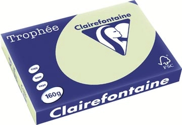 Een Clairefontaine Trophée Pastel, gekleurd papier, A3, 160 g, 250 vel, golfgroen koop je bij best4office