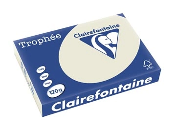 Een Clairefontaine Trophée Pastel, gekleurd papier, A4, 120 g, 250 vel, parelgrijs koop je bij best4office