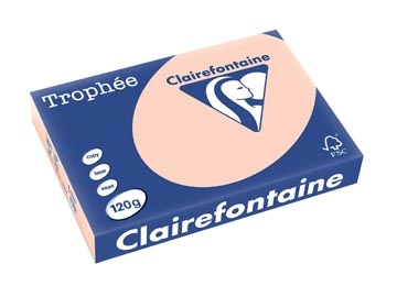 Een Clairefontaine Trophée Pastel, gekleurd papier, A4, 120 g, 250 vel, zalm koop je bij best4office