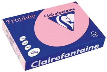 Een Clairefontaine Trophée Pastel, gekleurd papier, A4, 120 g, 250 vel, roze koop je bij best4office