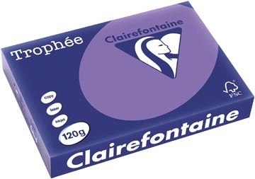 Een Clairefontaine Trophée Intens, gekleurd papier, A4, 120 g, 250 vel, violet koop je bij Muys Kantoor & Kado