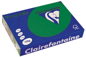 Een Clairefontaine Trophée Intens, gekleurd papier, A4, 120 g, 250 vel, dennengroen koop je bij best4office