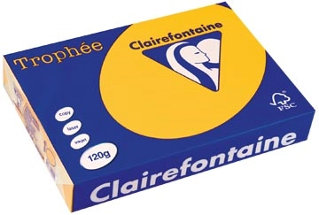 Een Clairefontaine Trophée Intens, gekleurd papier, A4, 120 g, 250 vel, zonnebloemgeel koop je bij best4office