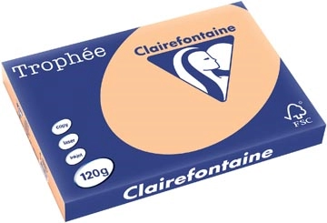 Een Clairefontaine Trophée Pastel, gekleurd papier, A3, 120 g, 250 vel, abrikoos koop je bij best4office