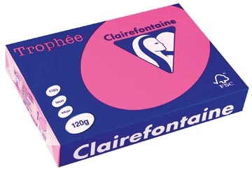 Een Clairefontaine Trophée Pastel, gekleurd papier, A4, 120 g, 250 vel, felroze koop je bij best4office