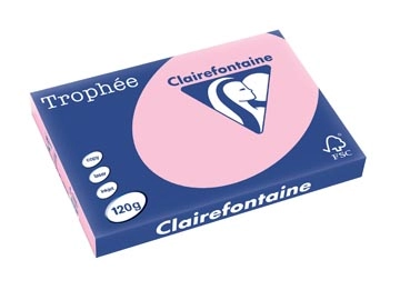 Een Clairefontaine Trophée Pastel, gekleurd papier, A3, 120 g, 250 vel, roze koop je bij best4office