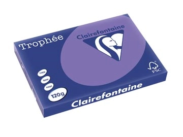 Een Clairefontaine Trophée Intens, gekleurd papier, A3, 120 g, 250 vel, violet koop je bij best4office