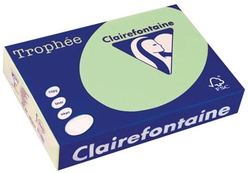 Een Clairefontaine Trophée gekleurd papier, A4, 80 g, 500 vel, natuurgroen koop je bij Muys Kantoor & Kado