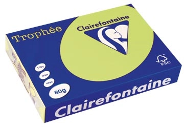 Een Clairefontaine Trophée gekleurd papier, A4, 80 g, 500 vel, golfgroen koop je bij best4office