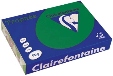 Een Clairefontaine Trophée Intens, gekleurd papier, A4, 80 g, 500 vel, dennegroen koop je bij Muys Kantoor & Kado