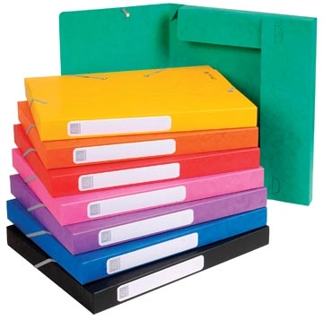 Een Exacompta Elastobox Cartobox rug van 2,5 cm, geassorteerde kleuren: groen, blauw, geel, rood, oranje, ... koop je bij Muys Kantoor & Kado