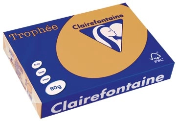 Een Clairefontaine Trophée gekleurd papier, A4, 80 g, 500 vel, mokkabruin koop je bij best4office