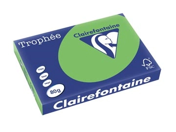 Een Clairefontaine Trophée Intens, gekleurd papier, A3, 80 g, 500 vel, muntgroen koop je bij best4office