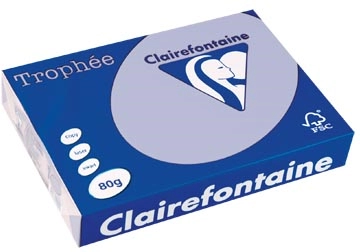 Een Clairefontaine Trophée gekleurd papier, A4, 80 g, 500 vel, lavendel koop je bij best4office