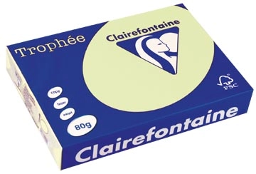 Een Clairefontaine Trophée gekleurd papier, A4, 80 g, 500 vel, lichtgroen koop je bij best4office