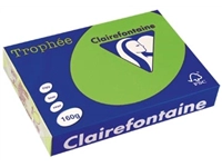 Een Clairefontaine Trophée Intens, gekleurd papier, A4, 160 g, 250 vel, grasgroen koop je bij best4office