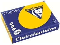 Een Clairefontaine Trophée Intens, gekleurd papier, A4, 160 g, 250 vel, zonnebloemgeel koop je bij best4office