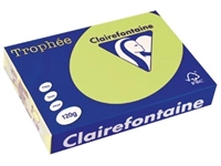 Een Clairefontaine Trophée Pastel, gekleurd papier, A4, 120 g, 250 vel, golfgroen koop je bij best4office