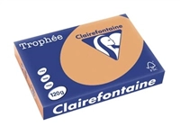 Een Clairefontaine Trophée Pastel, gekleurd papier, A4, 120 g, 250 vel, mokkabruin koop je bij best4office