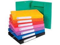 Een Exacompta Elastobox Cartobox rug van 2,5 cm, geassorteerde kleuren: groen, blauw, geel, rood, oranje, ... koop je bij Muys Kantoor & Kado