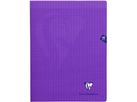 Een Clairefontaine schrift Mimesys voor ft A4+, 48 bladzijden, kaft in PP, seyès, geassorteerde kleuren koop je bij best4office