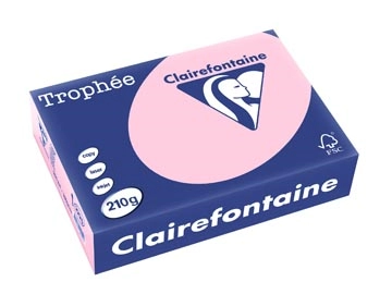 Een Clairefontaine Trophée Pastel, gekleurd papier, A4, 210 g, 250 vel, roze koop je bij best4office