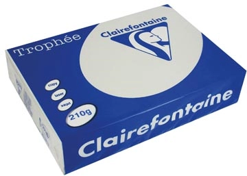 Een Clairefontaine Trophée Pastel, gekleurd papier, A4, 210 g, 250 vel, lichtgrijs koop je bij best4office