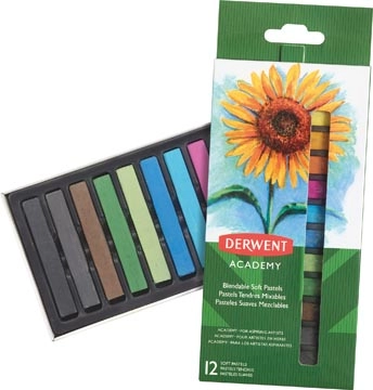 Een Derwent softpastels Academy , blister van 12 stuks in geassorteerde kleuren koop je bij best4office