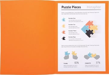 Een Exacompta dossiermap Super 180, voor ft A4, pak van 100 stuks, oranje koop je bij best4office