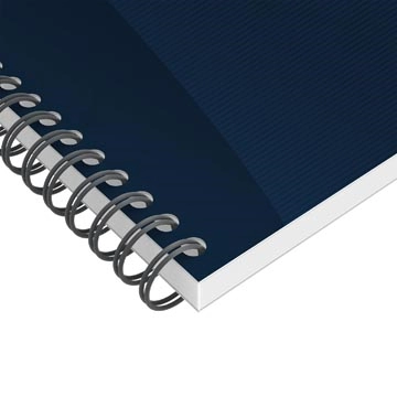 Een Oxford Office Essentials taskmanager, 230 pagina's, ft 14,1 x 24,6 cm, blauw koop je bij Muys Kantoor & Kado