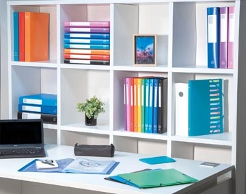 Een Exacompta elastobox rug van 2,5 cm geassorteerde kleuren koop je bij best4office