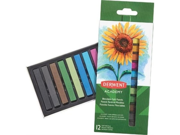 Een Derwent softpastels Academy , blister van 12 stuks in geassorteerde kleuren koop je bij best4office