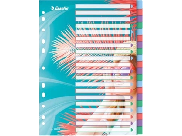 Een Esselte Colour'Breeze tabbladen, ft A4, 11-gaatsperforatie, PP, set van 20 tabs koop je bij Muys Kantoor & Kado