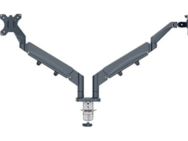 Een Leitz Ergo ruimtebesparende monitorarm, dubbel, grijs koop je bij best4office