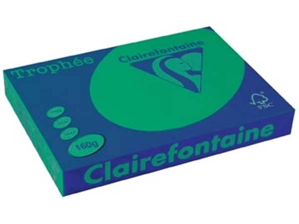 Een Clairefontaine Trophée Intens, gekleurd papier, A3, 160 g, 250 vel, dennengroen koop je bij best4office