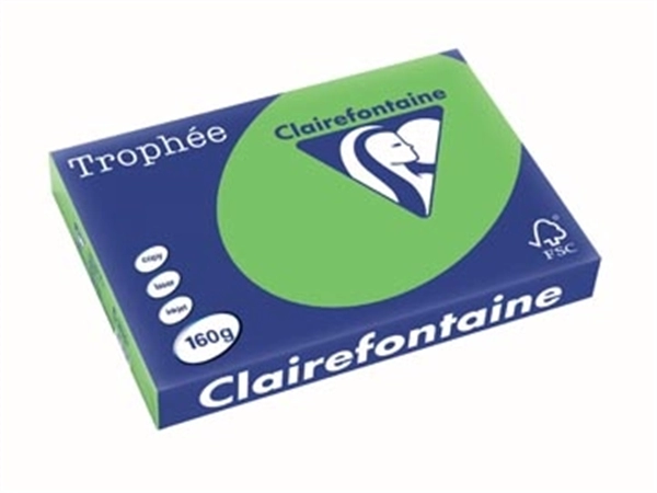 Een Clairefontaine Trophée Intens, gekleurd papier, A3, 160 g, 250 vel, grasgroen koop je bij Muys Kantoor & Kado