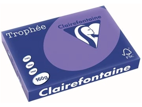 Een Clairefontaine Trophée Intens, gekleurd papier, A3, 160 g, 250 vel, violet koop je bij best4office